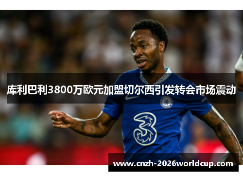 库利巴利3800万欧元加盟切尔西引发转会市场震动 库利巴利3800万欧元加盟切尔西引发转会市场震动
